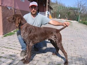 hasansakarya